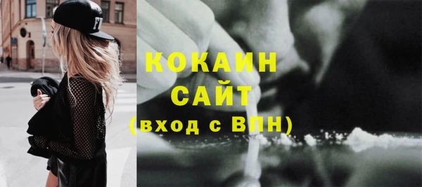 винт Ельня