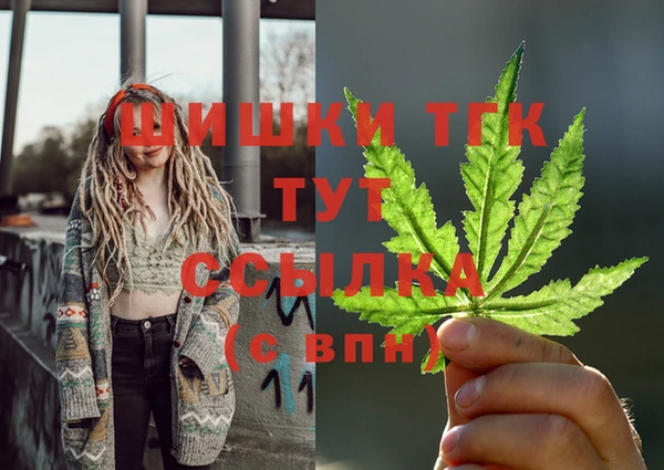 крисы Елизово