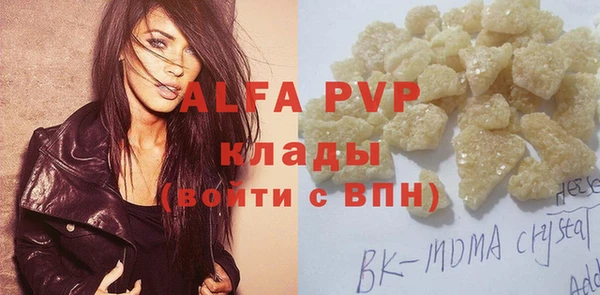 винт Ельня