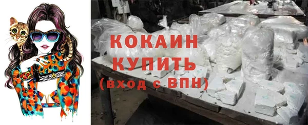 крисы Елизово