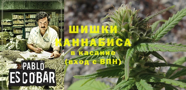 винт Ельня