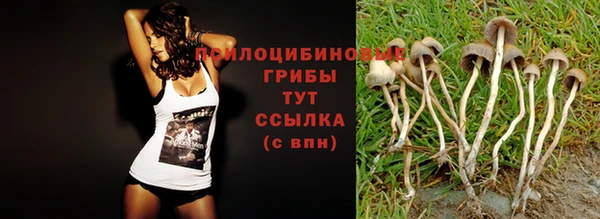 COCAINE Елабуга
