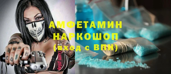 винт Ельня