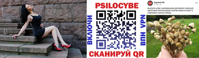 Купить Чухлома Псилоцибиновые грибы мухоморы